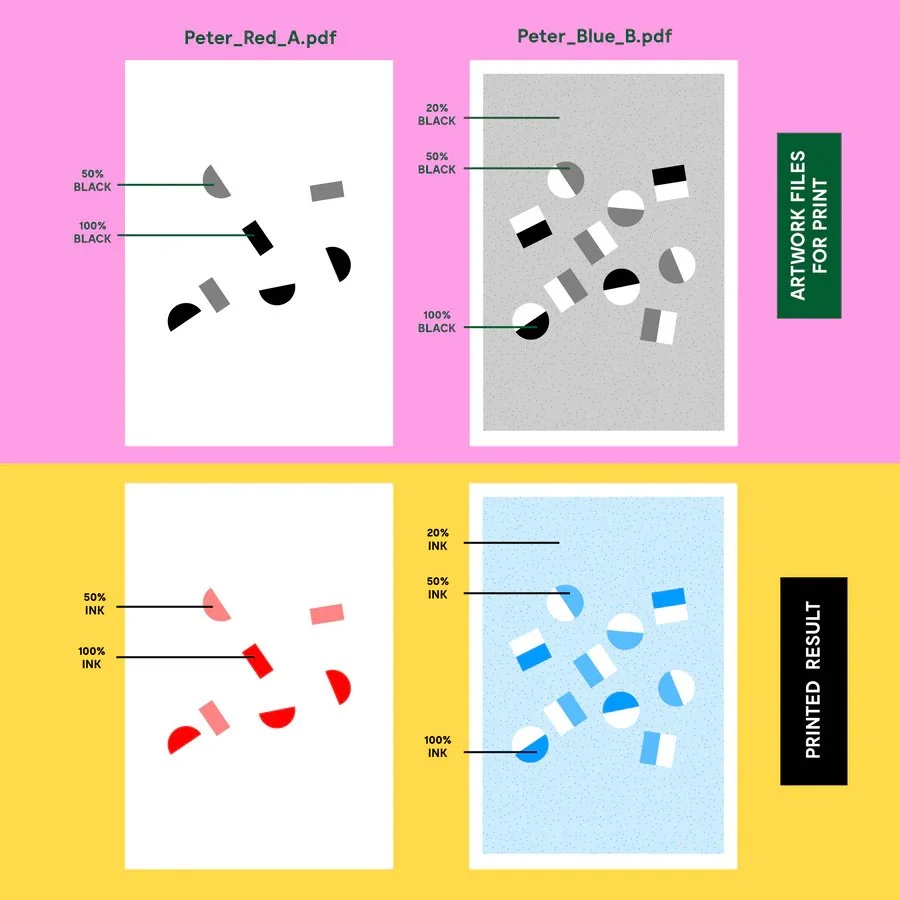 riso — Roxy Urquiza Flores